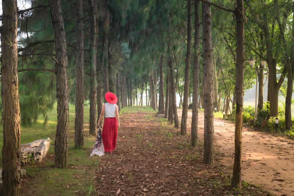pexels-photo-2164462-2164462 A serene scene of a woman in red walking down a forested trail, surrounded by tall trees.